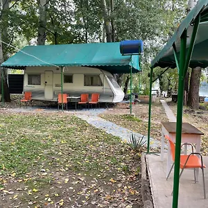 Tisza Wild 2 Szeged